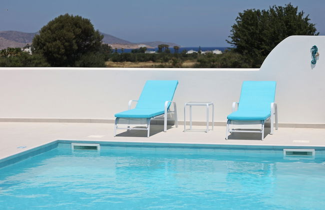 Xenos Villa 6 With a Private Pool Near the sea - Foto 28