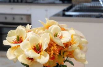 Apartamento del Pla - Photo 11