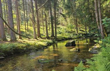 Fewo Kleine Auszeit - Foto 55