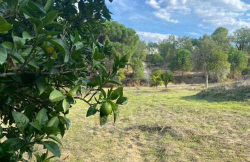 Monte da Marouca-Mont’Argil - Foto 68