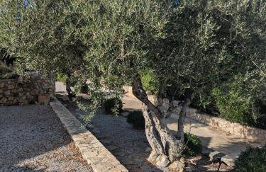 Villa Batsheva Private and Detached - Photo 10