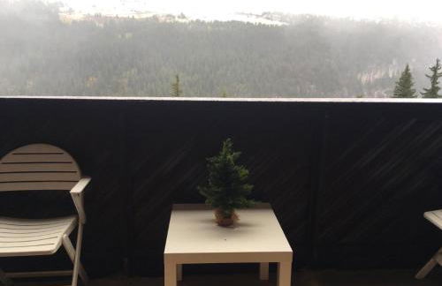 SKI DORIS 310 Flaine Forêt - Photo 16