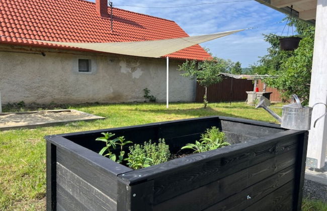 Country House Badacsony - Foto 25