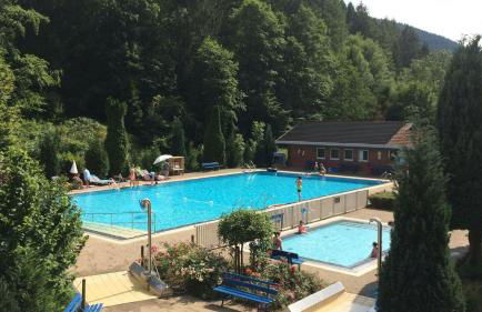 Das-Urlaubszuhause-fuer-Familien-Grossfamilien-Mehrfamilien-und-kleine-Gruppen-bis-zum-12-Personen-mit-vielen-Unterhaltungsmoeglichkeiten-im-Harz - Foto 45