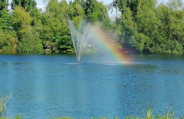 Lovely Lakeside lodge for families and friends - Foto 31