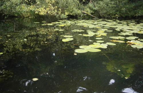 Helle Loft mit eingenem Garten - Photo 23