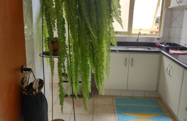 Apartamento - Foto 8