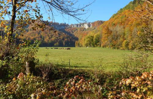 FREE Apartment - Bei den Thermen - Foto 51