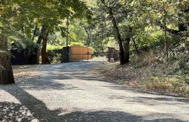 The Calistoga Cottage Wooded And Sunny 5 Mins To Downtown - Foto 44