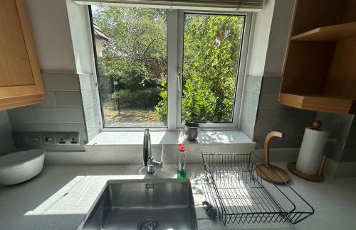 Central Woking - Photo 14