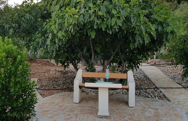 Apartment Karolina - Foto 19