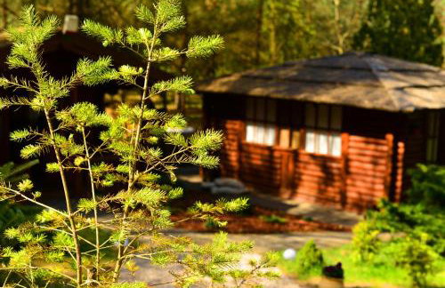 Mazury - Giżycko - Harsz - Domki - ApartMazury Osada - Foto 50