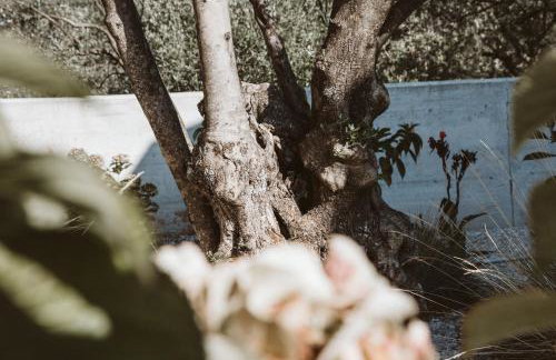 Villa Claudia - Foto 65