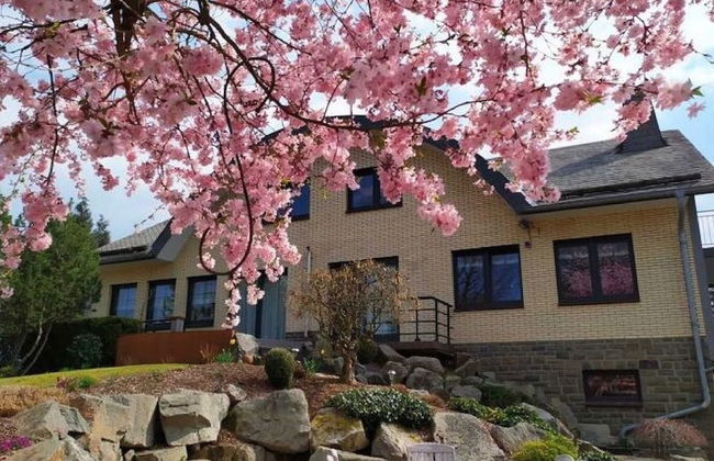 Apartment in Weywertz Near Ski Slopes - Photo 28