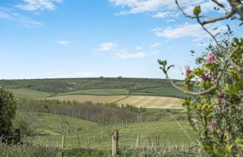 3 Bed in Newchurch oc-ic124 - Foto 34