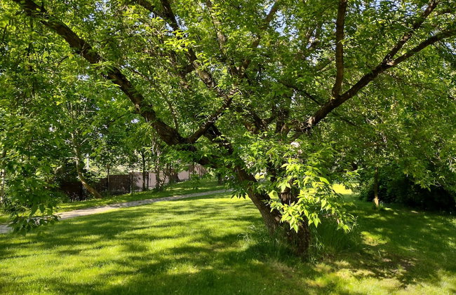 University Hotel - Foto 79