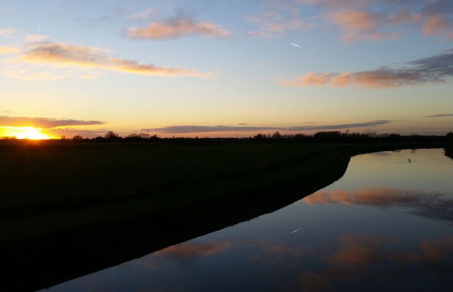 Peaceful Forest Chalet - Photo 26
