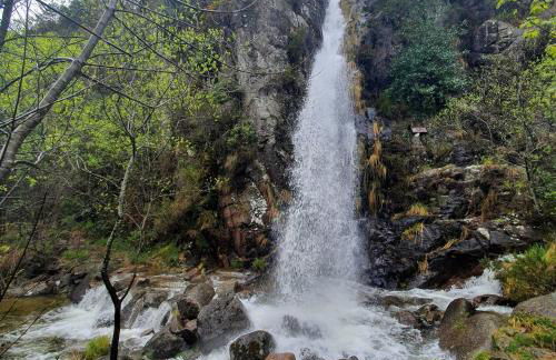 Azor International Apartment II - Foto 20