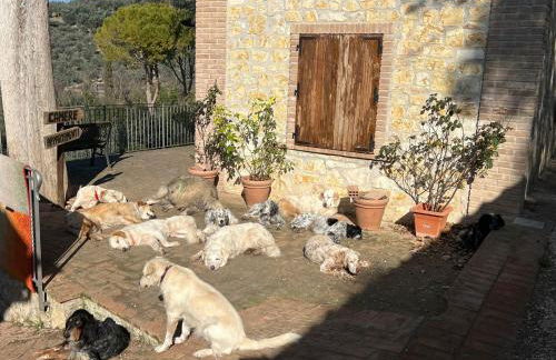 SetterHouseAgriHotel - Photo 11