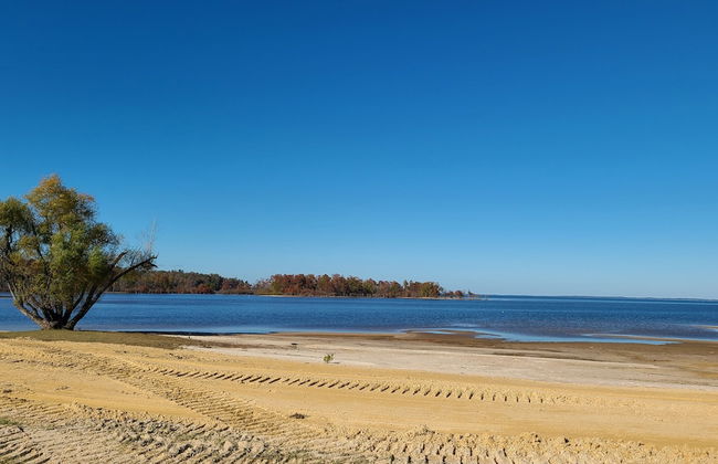 McGees Landing Cabin 1-Toledo Bend Lake - Photo 13
