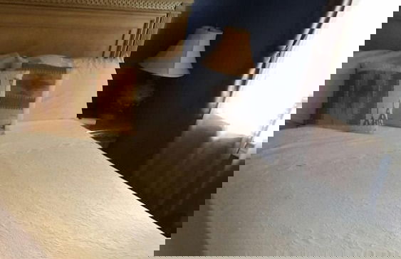 Palms of Liguanea - Foto 8