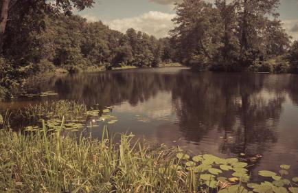 Masuria Warsaw - dom na wyłączność - w lesie i przy rzece - 15 min od Warszawy - Foto 67