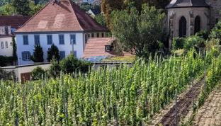 Ferienwohnung Freiraum - Foto 5