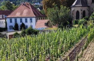 Ferienwohnung Freiraum - Foto 5