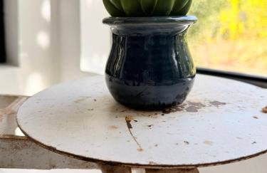 Charming Private Cottage in Ojai - Foto 6