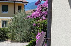 Lake Garda Renovated Apartment - Foto 40