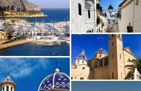 Salamandra - Photo 12