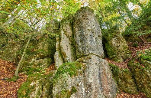 Ferienhaus Sylvia beim Waldrand - Foto 30
