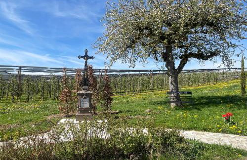 Bergchalet Mirabell - Hofgut - Foto 43