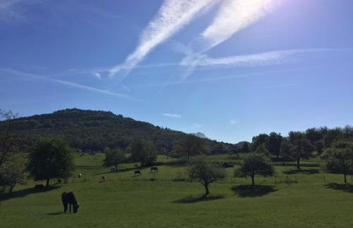 Schwarzwald Boutique-Apartment HAUS REHGARTEN - Foto 51