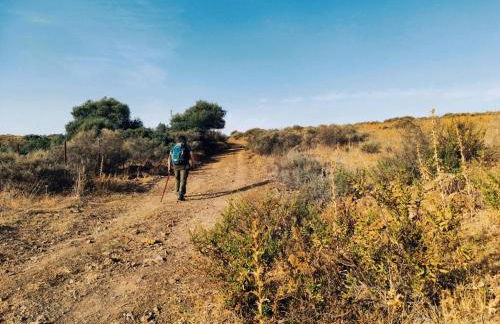 Lo Cantalés d’Aubrac - Photo 17
