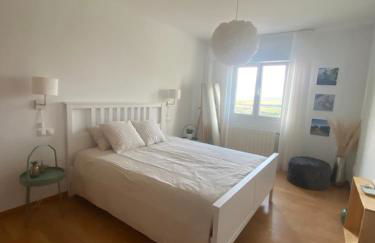 Fresno Vista - Photo 19