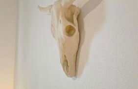 Cozy 1BR Tiny Home near Downtown and NB Rivers - Photo 18