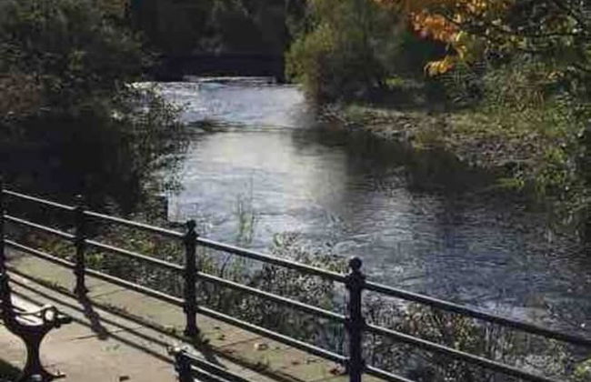 Charming 2-bed Cottage in the Heart of Stanhope - Foto 9