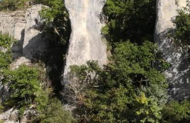 Gites l’Olivier avec piscine - Foto 35