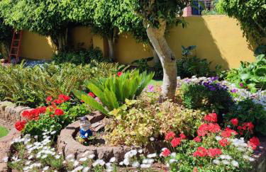 Finca El Trazo - Foto 42