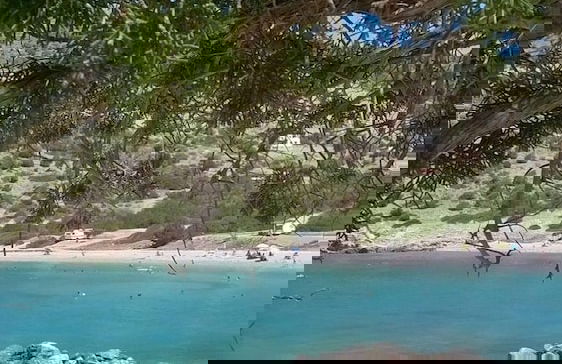 Cozy Apollon Villa, Sea View, Next To Galaxidi - Photo 30