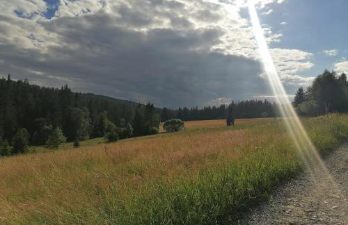 Olberówka - Foto 39