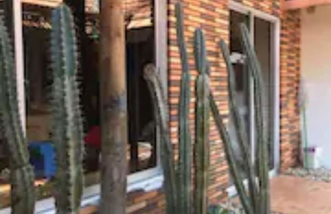 Cabaña Refugio del Mar - Photo 14