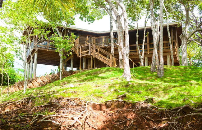 Parie House - Foto 9