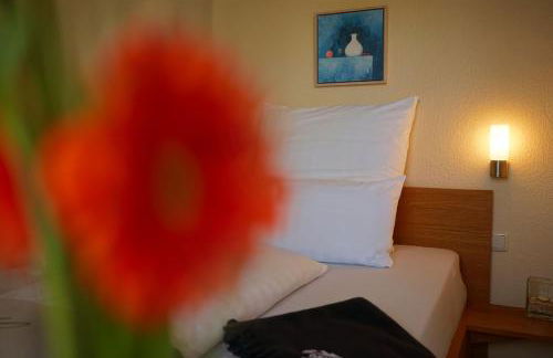 Ferienzentrum Yachthafen Rechlin - Photo 8