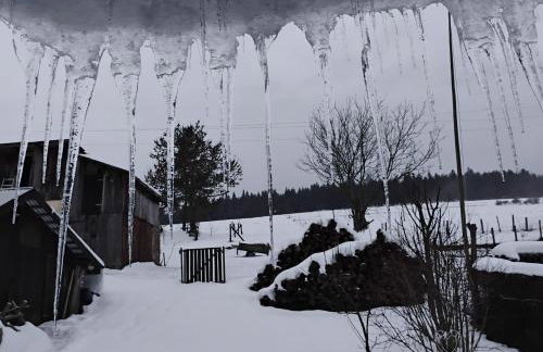 Tygiel Krzywa, Beskid Niski - Foto 6