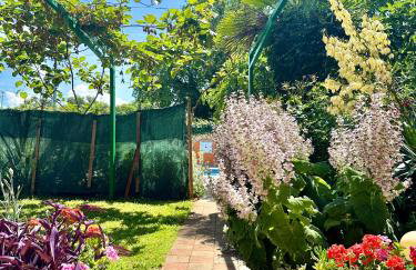 Apartments Dugonjić - Foto 33