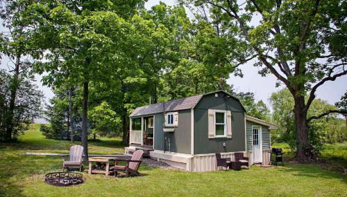 Lil Hickory - Foto 3