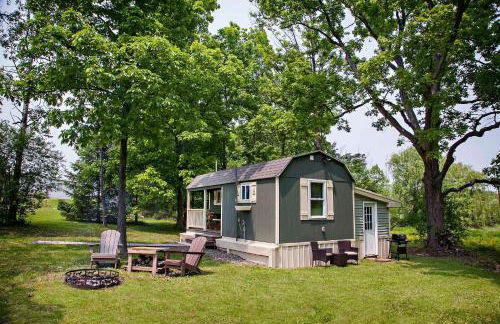 Lil Hickory - Foto 3