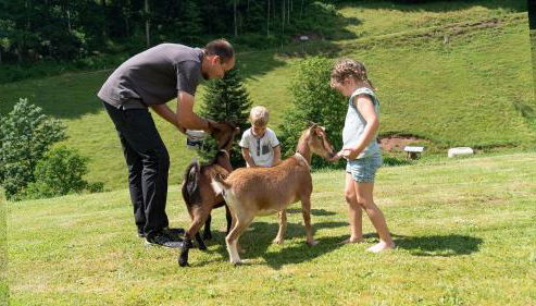 Springhansenhof - Foto 3